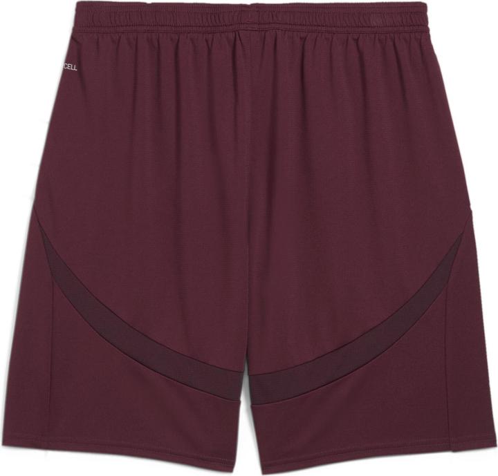 Actual product image Puma MCFC Shorts Replica (3XL)