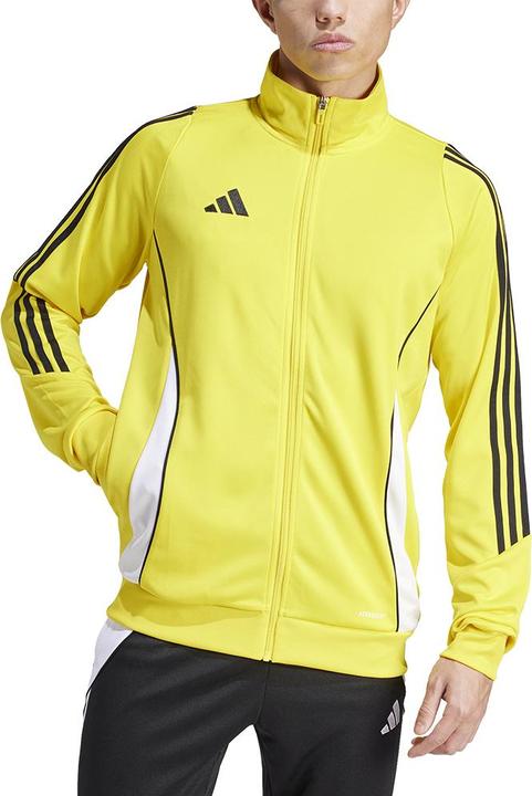 Actual product image adidas TIRO24 TRJKT (L)