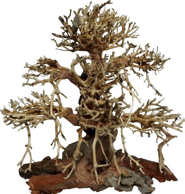 4fish Traerødder, Old Bonsai, 40x20x40 cm (sonstige Gegenstände)