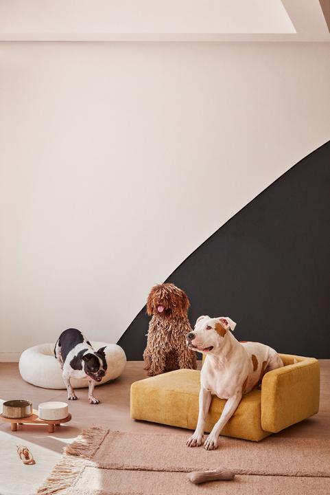 Actual product image Kave Home Bowie (Dog)