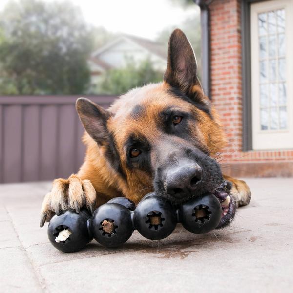 Immagine prodotto KONG Nastro Extreme Goodie Md - (KONGEGS2E) (Gioco da masticare per cani)