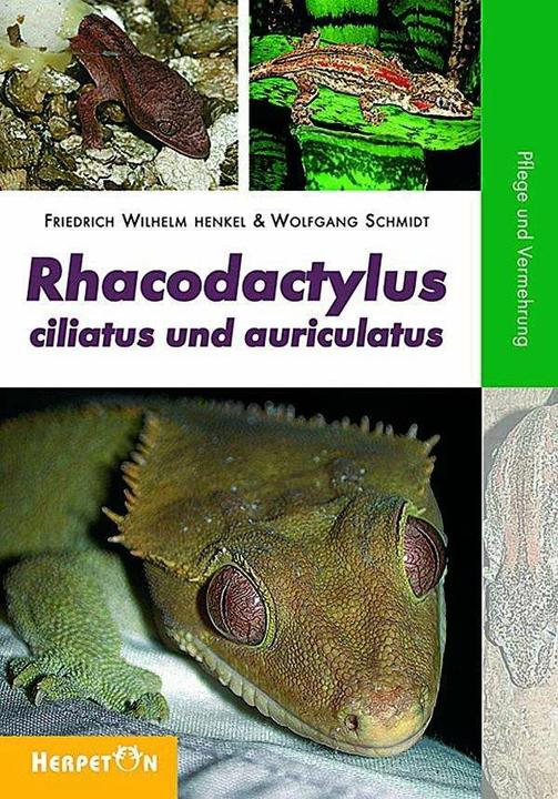 Rhacodactylus ciliatus und auriculatus (Deutsch, Wolfgang Schmidt, 2007)