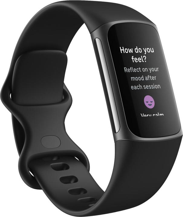 Immagine prodotto Fitbit Confezione regalo Charge 5 (26.43 mm)
