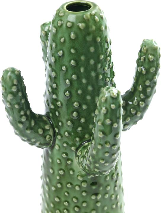 Actual product image Serax Cactus Medium (1 x)
