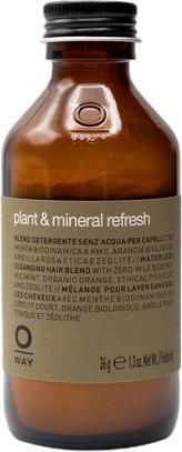 IDUN Minerals OWAY Plant & Mineral Refresh 36 g