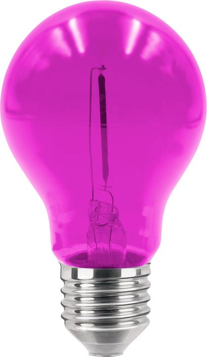 Image du produit Century Ampoule Fiesta Magenta 36V (E27, 0.60 W, 20 lm, 1 x)