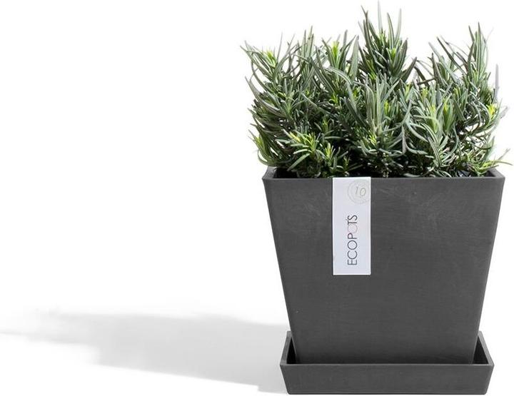 Produktbild Ecopots Saucer Rotterdam