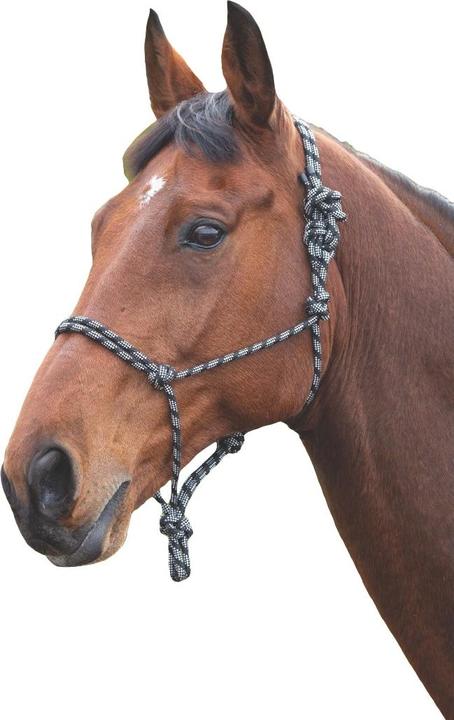 Immagine prodotto Shires UTER545 P
