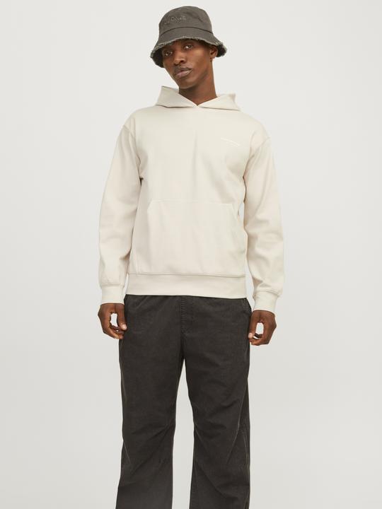 Immagine prodotto Jack & Jones Jcoaero Print Sweat Hood Noos (XS)