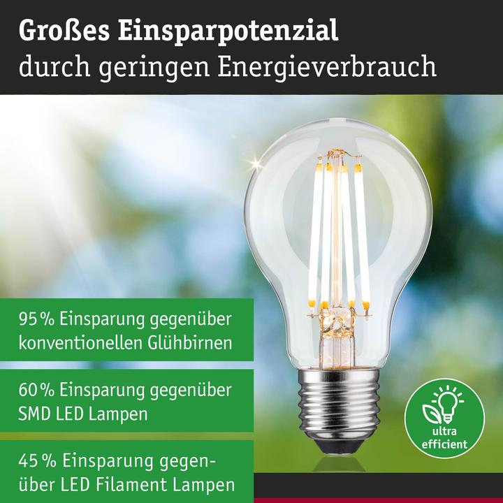 Actual product image Paulmann AGL Eco-Line (E27, 4 W, 806 lm, 1 x, B)