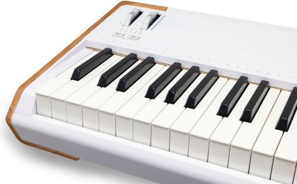 Actual product image Arturia AstroLab 88