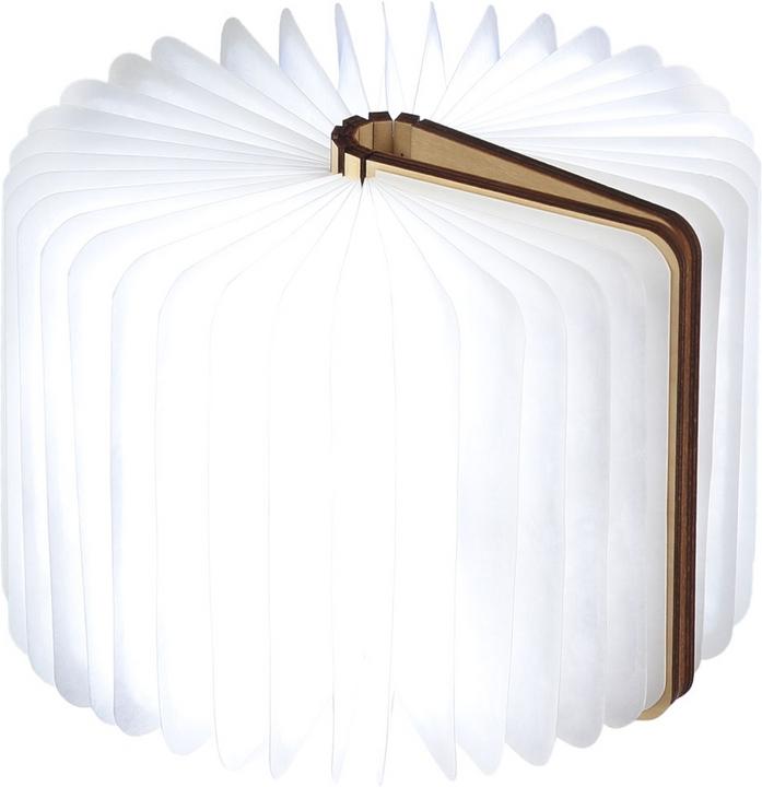 Actual product image Gingko smart book