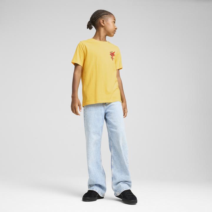 Actual product image Puma Road To Unity Graphic