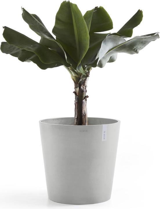 Produktbild Ecopots Amsterdam + Wasserbehälter (50 cm)