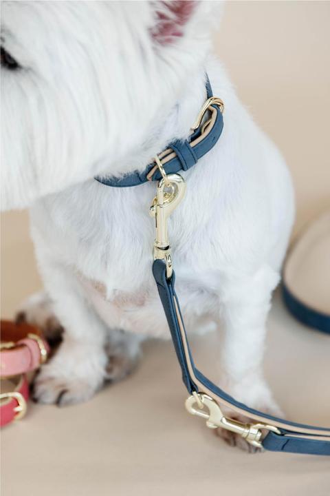 Produktbild Kentucky Dogwear Hunde Halsband Soft Vegan Leather (XS, Hund, Allgemein)