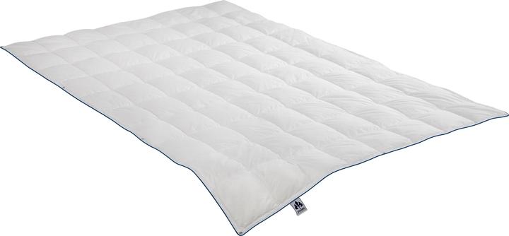 Produktbild Irisette 4-Jahreszeiten-Daunendecke Luna (250 g, 155 x 220 cm)