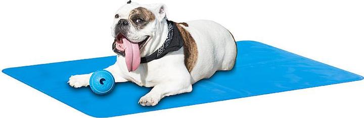 Produktbild Sweetypet Selbstkühlende Kühlmatte für Hunde & Katzen (Hund, Katze)