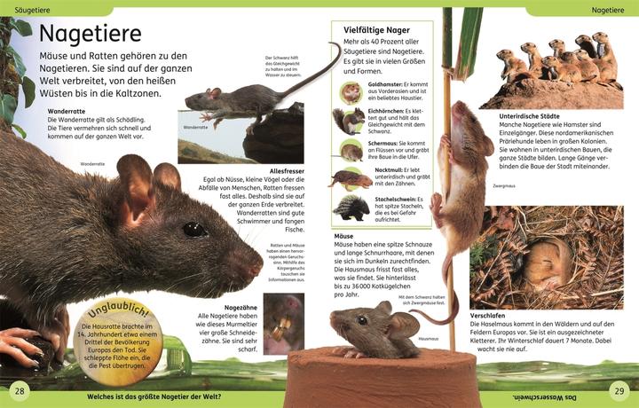Immagine prodotto DK Kinderlexikon Tiere (Tedesco, DK Verlag - Bambini, 2023)