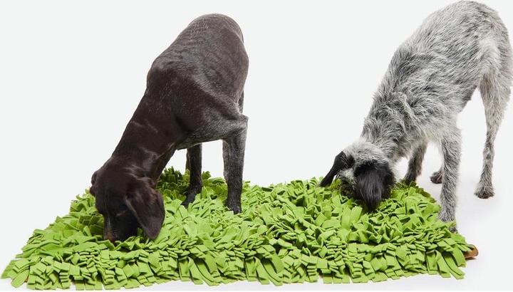 Actual product image Knauder's Best Dog toy sniffer turf XL 90 x 70 cm (Dog chew toy)