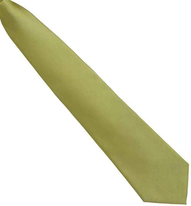 Immagine prodotto Premier Cravatta unisex per adulti con colori moda e tinta unita con clip