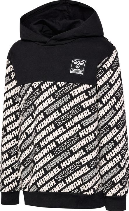 Immagine prodotto hummel hmlCAMERON HOODIE (134)