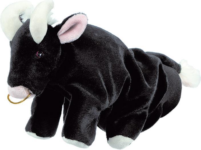Beleduc Toro