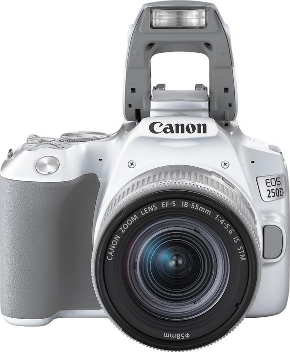 Canon EOS 250D (18 - 55 mm, 24.10 Mpx, APS-C / DX)