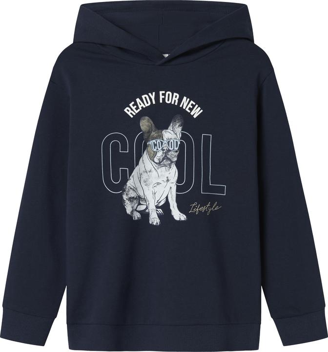 Name it Regular Fit Hoodie (116)