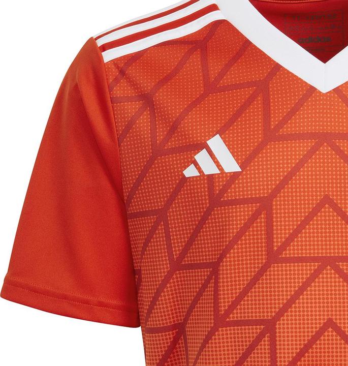 Image du produit adidas Team Icon 23 Maillot (176)