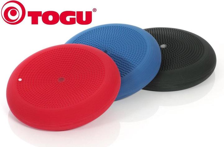 Actual product image Togu Dynair ball cushion XXL