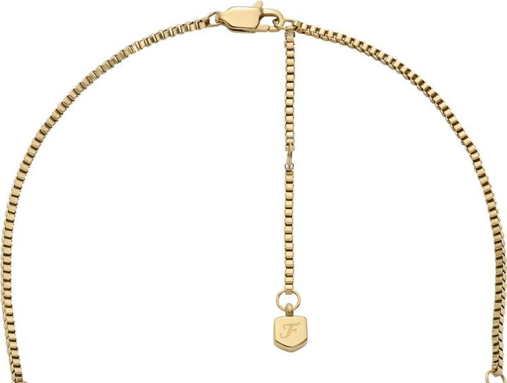 Actual product image Fossil Jewelry Necklace (Stainless steel)