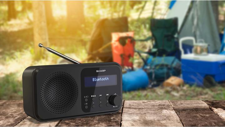 Produktbild Sharp DR-P420 (DAB+, DAB, FM, Bluetooth)