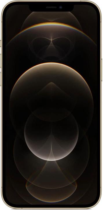 Produktbild Re!commerce iPhone 12 Pro Max (128 GB, Gold, 6.70", 12 Mpx, Single SIM, A / Wie neu)