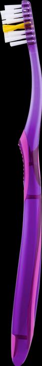 Actual product image Elmex Junior toothbrush