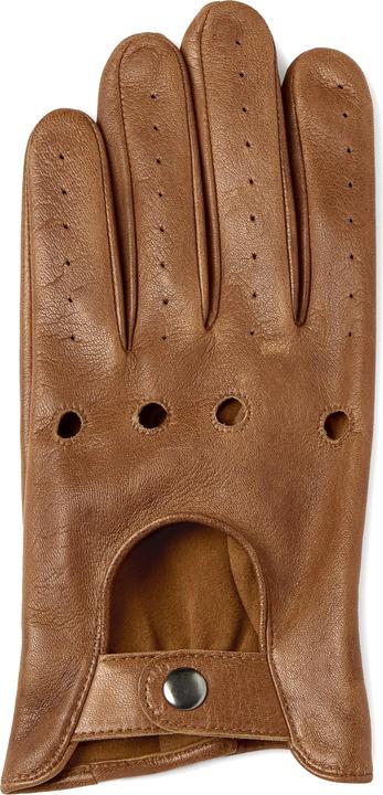Actual product image Fawler Terra (L)