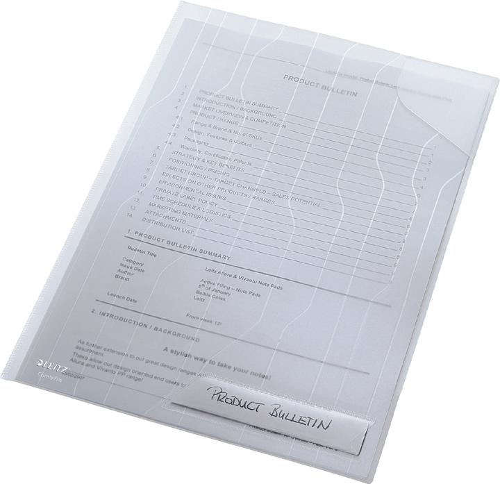 Actual product image Leitz CombiFile (A4, 5 x)