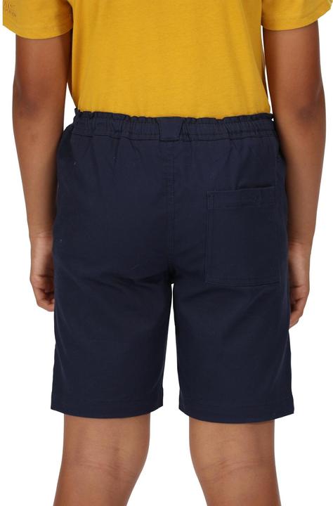 Actual product image Regatta Alber Shorts (146)