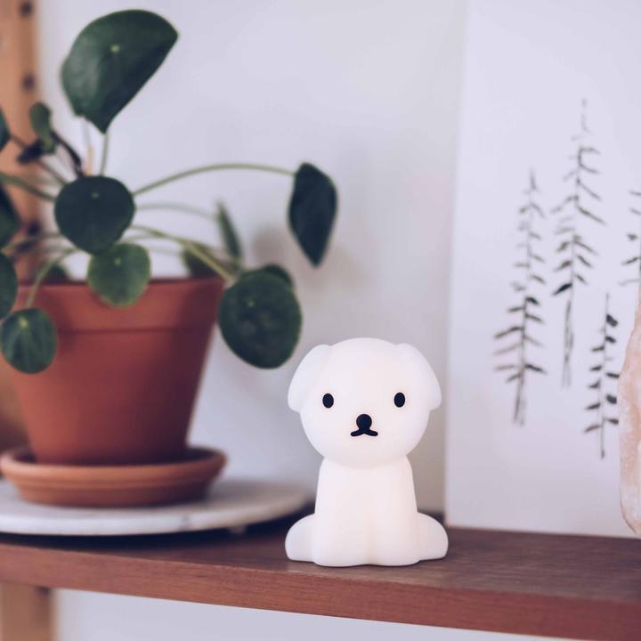 Actual product image Mr Maria Bundle Of Light Snuffy