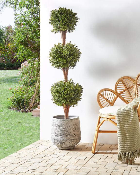 Image du produit Beliani Buxus Ball Tree (154 cm)