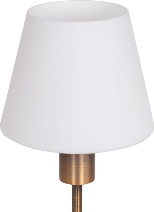 Immagine prodotto Steinhauer Ancilla (E14)