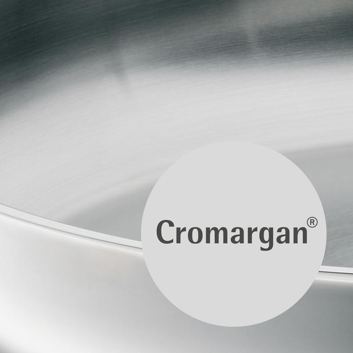 Immagine prodotto WMF Padella in acciaio inox 24 cm Pan Induction Professional Non rivestita (24 cm, Padella per friggere, Acciaio inossidabile)