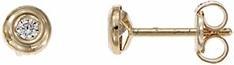 Passion Ohrringe Aus 9 Kt Gold – Zirkonia