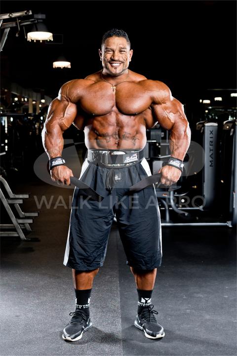 Produktbild Schiek Lifting Straps