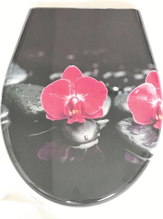 Produktbild Lipo Orchidee