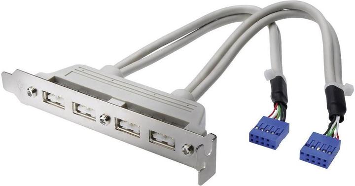 Actual product image Digitus ASSMANN USB bracket cable 4x type A - 2x10pin IDC Bu/Bu 0.25m USB 2.0 compatible be