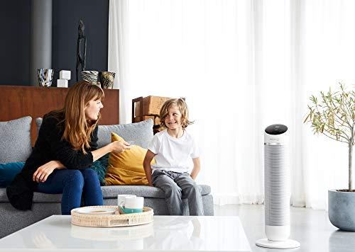 Actual product image Rowenta HQ8120 Silent Comfort (61 dB)