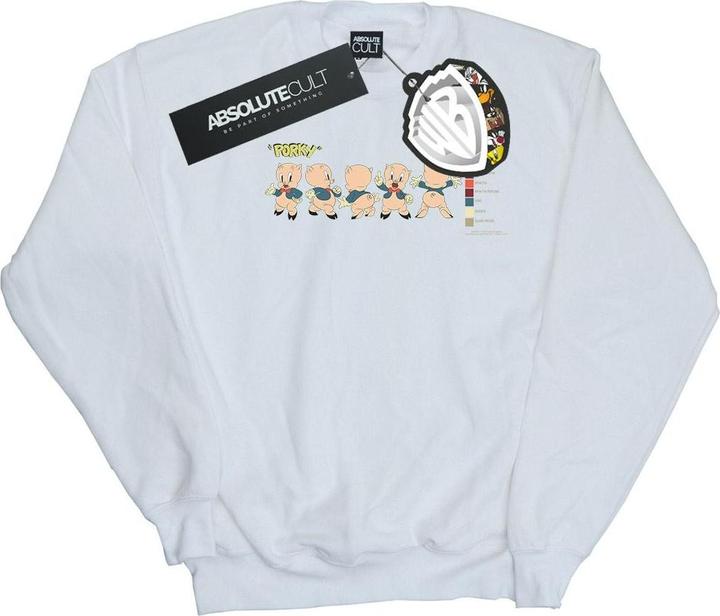 Produktbild Looney Tunes Porky Pig Colour Code Sweatshirt (4XL)
