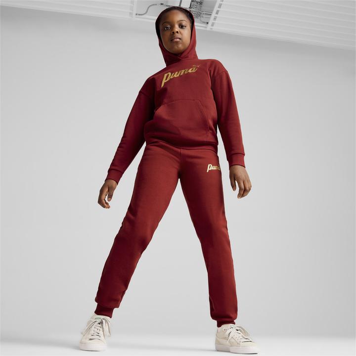 Produktbild Puma ESS+ SCRIPT Metallic Hoodie FL G (152)
