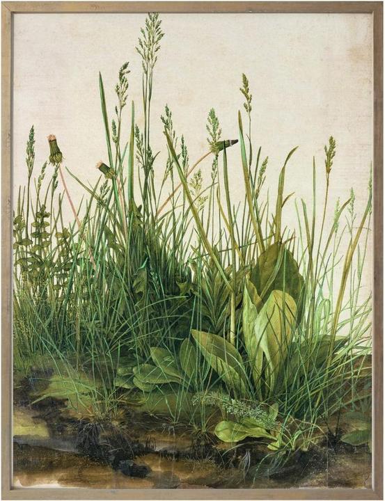 Produktbild Trenddeko Dürer - Das grosse Rasenstück (50 x 60 cm)