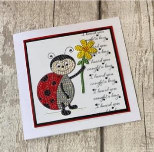Image du produit Craft Buddy Crystal Art A6 Stamp "Love Bug Ladybird" (Oiseau de l'amour)